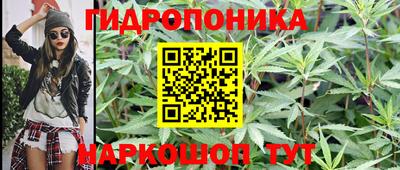 стафф Долгопрудный