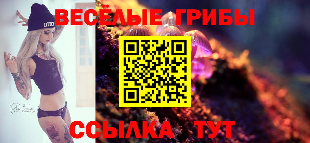 Псилоцибиновые грибы Psilocybine cubensis Чусовой